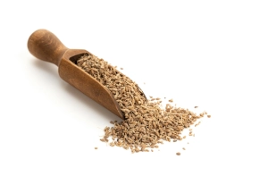 Herbarium: herbs and spices offer