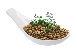 zioła i przyprawy oferta - kolendra