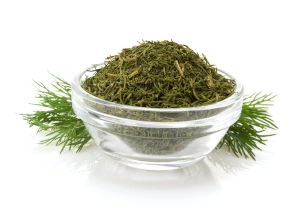 zioła i przyprawy oferta - koperek