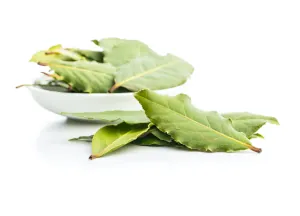 zioła i przyprawy oferta - liść laurowy