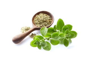 zioła i przyprawy oferta - majeranek