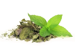 Pfefferminze - kräuter und gewürze - angebot