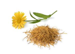 zioła i przyprawy oferta - nagietek