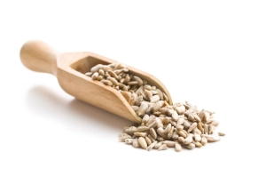 zioła i przyprawy oferta - słonecznik