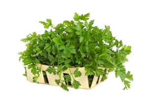 zioła i przyprawy oferta - pietruszka